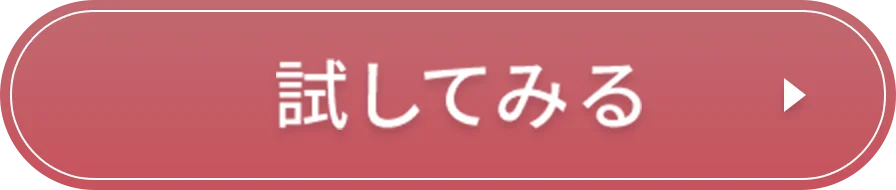 試してみる